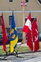 /album/archiv/vitis-maibaumsetzen-2015-4-jpg/